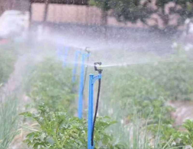 atomizing-micro-sprinkler-irrigation-for-vegetable
