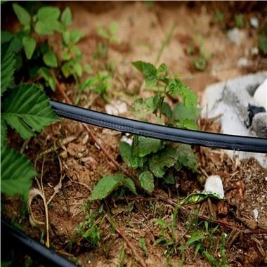 Pipa Irigasi Tetes Labirin